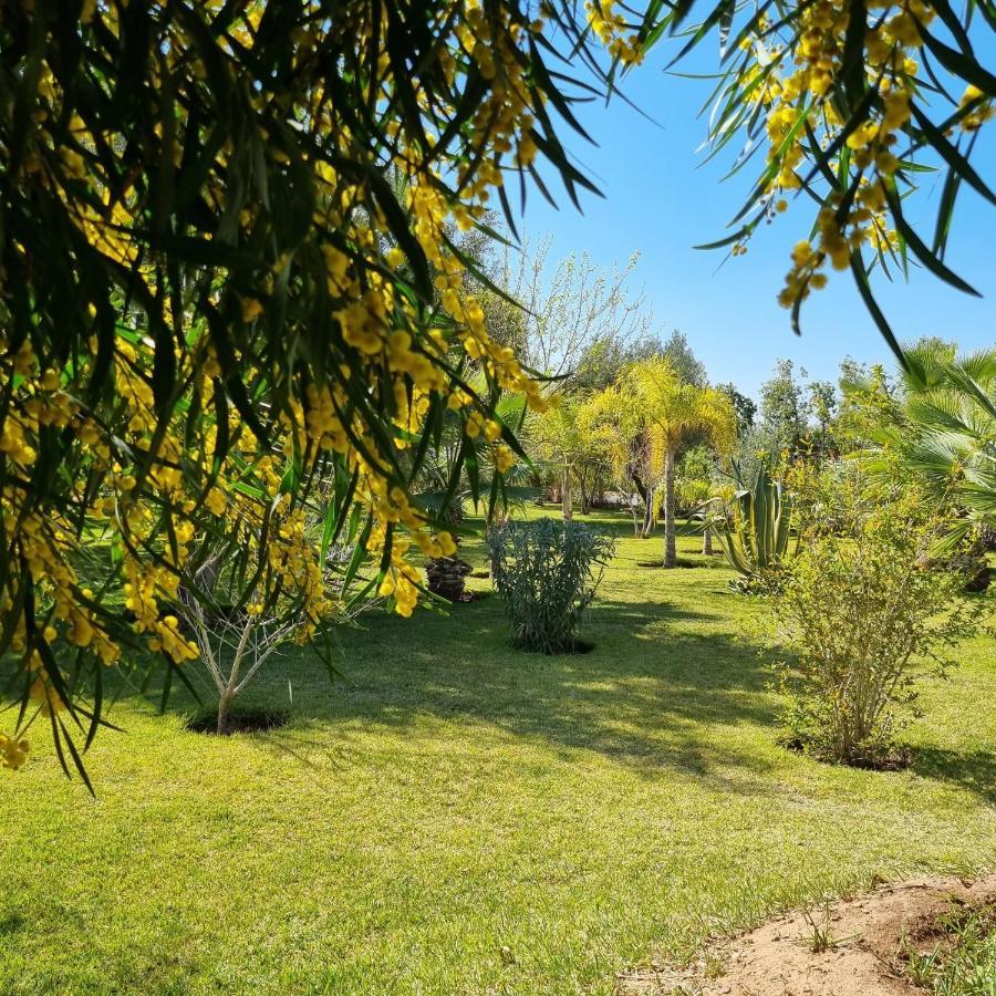 Riad Les Deux Citronniers Marrakesh Ngoại thất bức ảnh