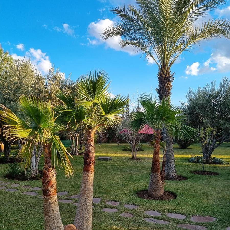 Riad Les Deux Citronniers Marrakesh Ngoại thất bức ảnh