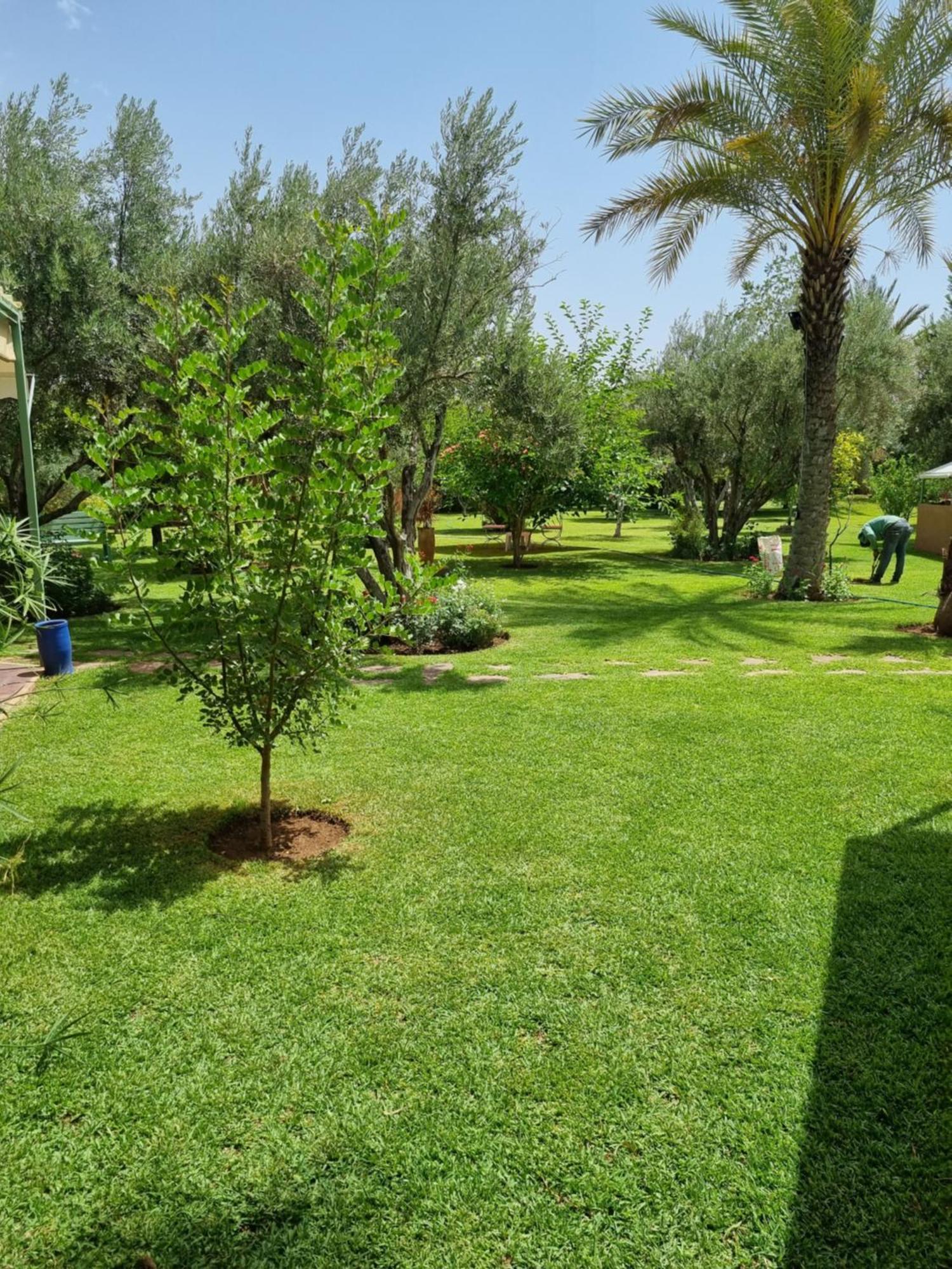Riad Les Deux Citronniers Marrakesh Phòng bức ảnh